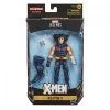 Hasbro Marvel Legends X-Men: Age Of Apocalypse Collection Action Figures Wave 1 - Weapon X