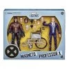 Hasbro X-Men 20th Anniversary Marvel Legends Action Figure Twin Pack Exclusive - Magneto & Professor X
