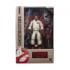 Hasbro **LAST COUPLE*** Ghostbusters Plasma Series Action Figure Wave 1 - Zeddemore