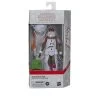 Hasbro Star Wars Black Series 6 Inch Holiday Exclusive Action Figure - Snowtrooper (Holiday Edition)